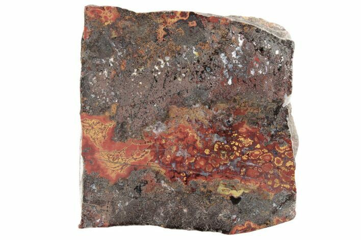 Polished Cruentus Agate Section - Kerrouchen, Morocco #187106